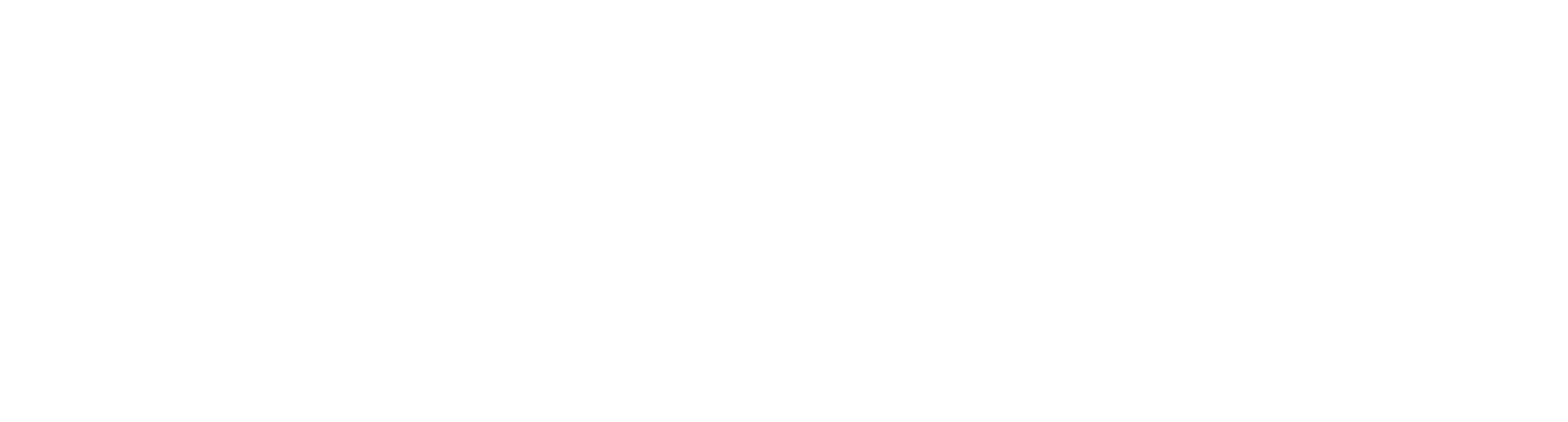 Nepal News (English) logo
